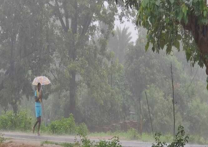 मौसम विभाग ने बस्तर संभााग के साताें जिलाें के लिए जारी किया येलो अलर्ट